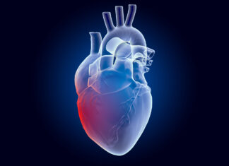 The Heart-Saving Hormone