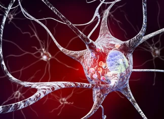 Detecting Parkinson’s Disease Early