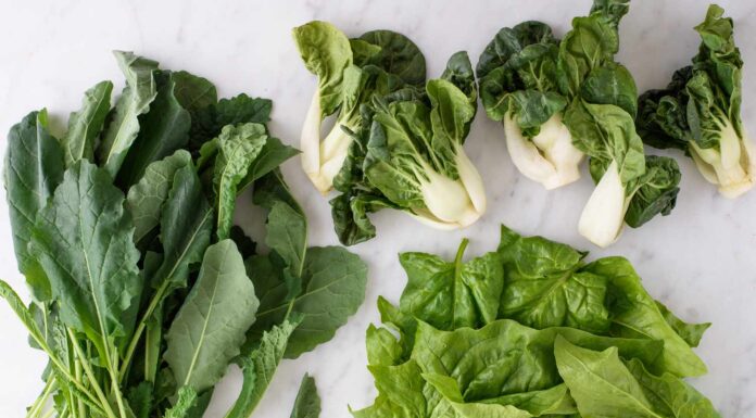 Understanding Diabetes: A Comprehensive Analysis