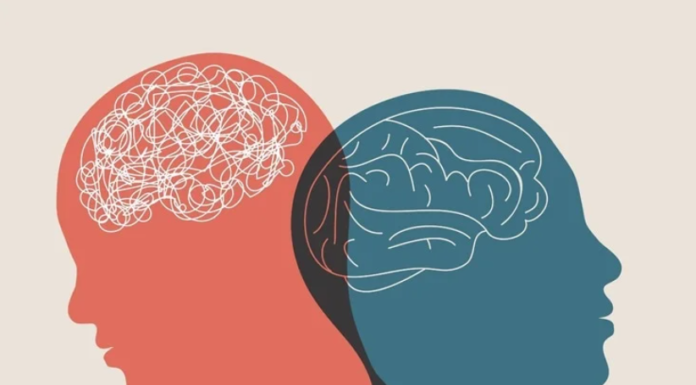 Nurturing Mental Health: A Path to Well-Being and Resilience Image Credit: melitas/Shutterstock.com