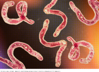 Parasite Purge: Cleansing Your Body for Optimal Health