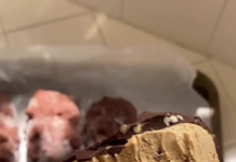 Vegan Coffee Chocolate Chip Ice Cream Bars