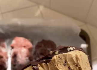 Vegan Coffee Chocolate Chip Ice Cream Bars