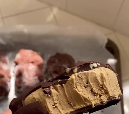 Vegan Coffee Chocolate Chip Ice Cream Bars